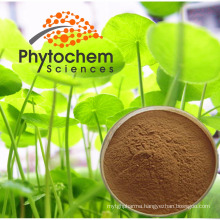 Organic Centella Asiatica/Gotu Kola Extract Powder 10%-90% Asiaticoside